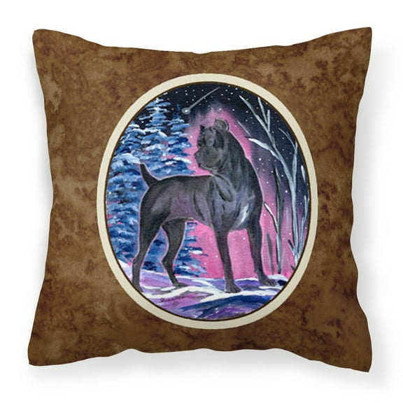 Carolines Treasures SS8410PW1414 Starry Night Cane Corso Fabric Decorative Pillow, 14Hx14W, multicolor