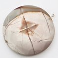 thumbnail image 5 of Picture Jasper Round Coin Pendant Bead | 50x10mm | 1 Bead |, 5 of 10