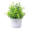 thumbnail image 3 of Visland Energetic Fake Berry Bonsai Realistic Fresh-keeping Window Sill Artificial Plant Bonsai Home Decor, 3 of 8