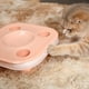 thumbnail image 5 of Pet Cat Food Pot Bowl Toy Tower Track Disc Ball Training Game Board Pet Cat Accent 2 En 1 Cateissary PT002592-02, 5 of 6