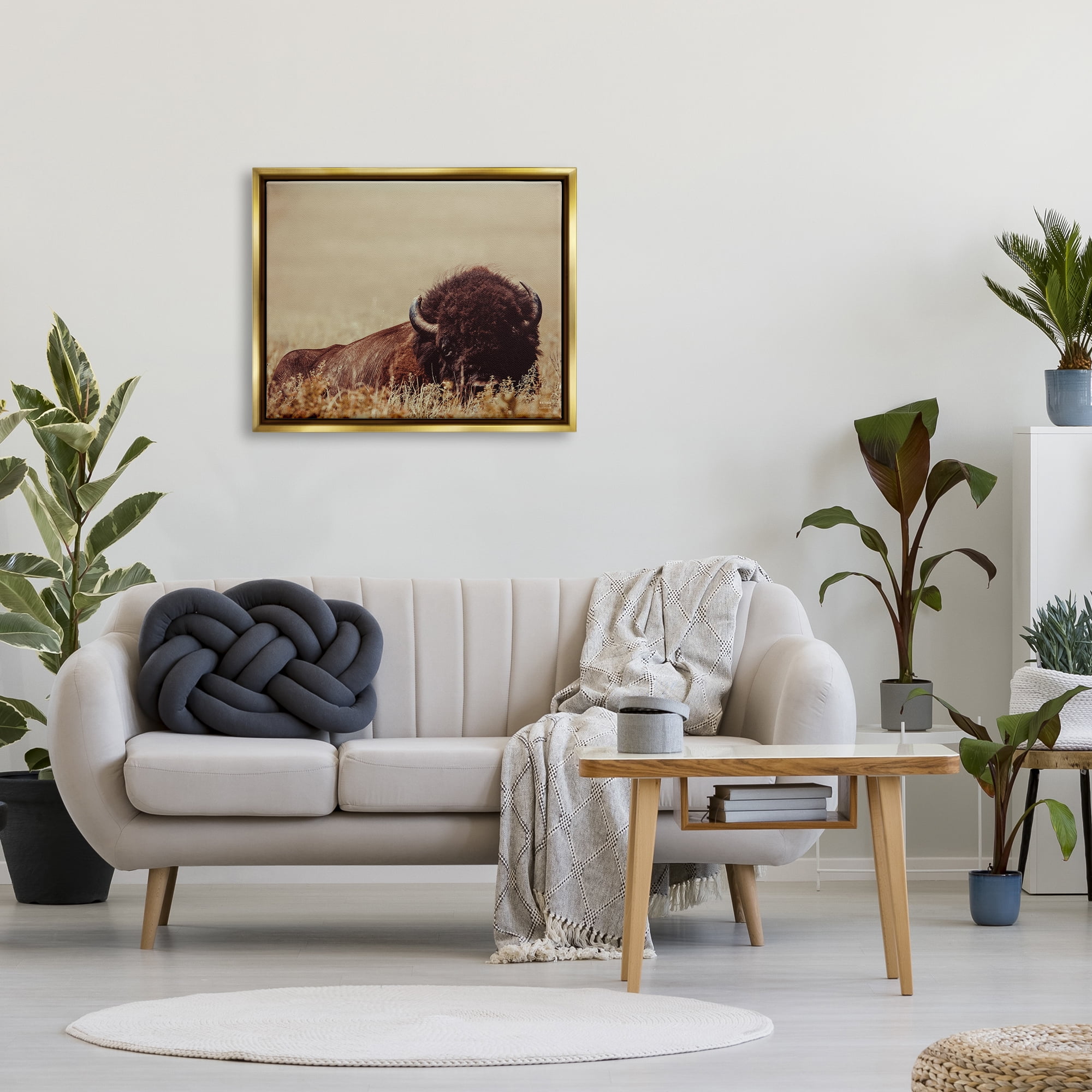 Stupell Industries Resting Bison Photography Animals & Insects Photography Gold Floater Framed Canvas Art Print Wall Art, 31 x 25