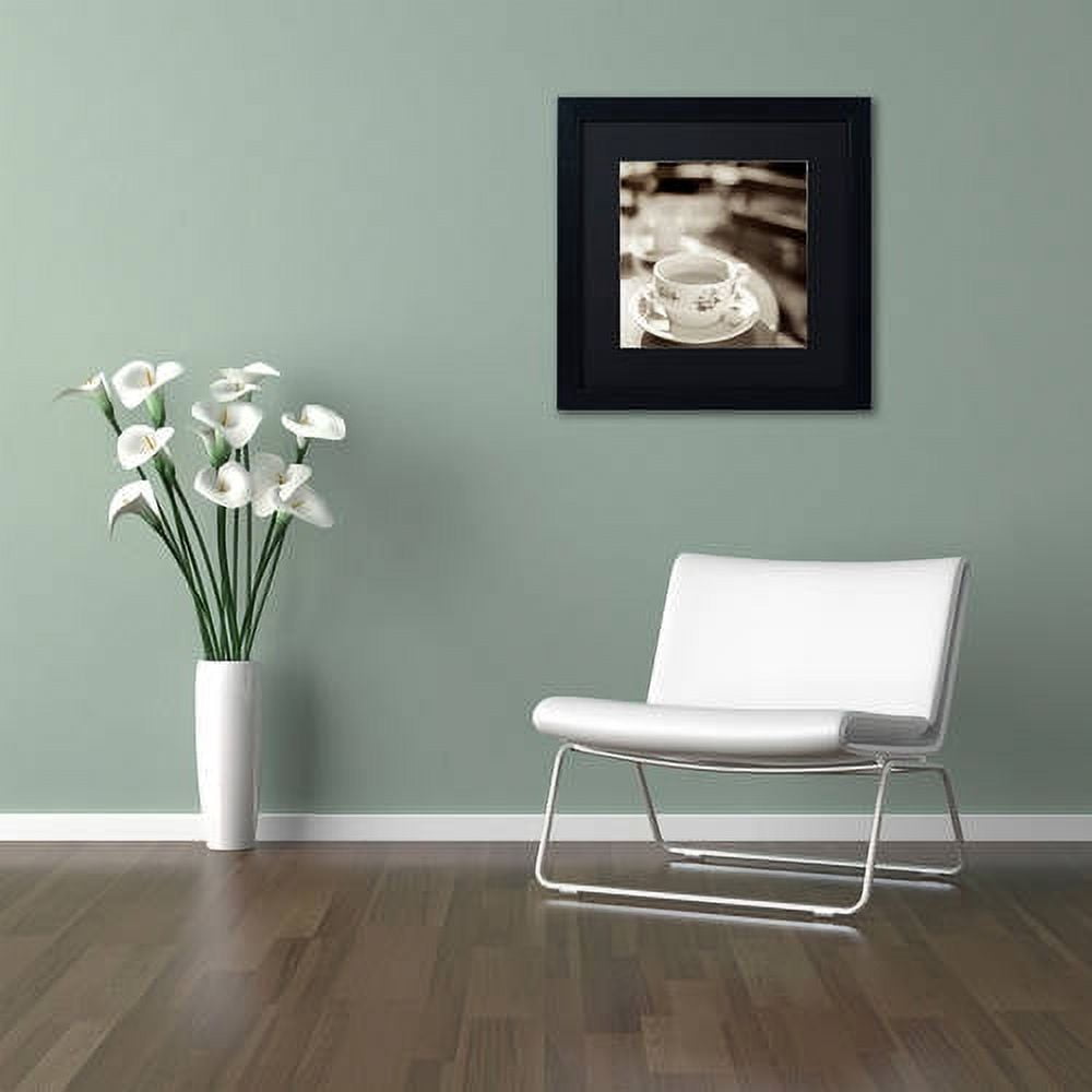Trademark Fine Art "Jardin du Luxembourg II" Canvas Art by Alan Blaustein, Black Matte, Black Frame