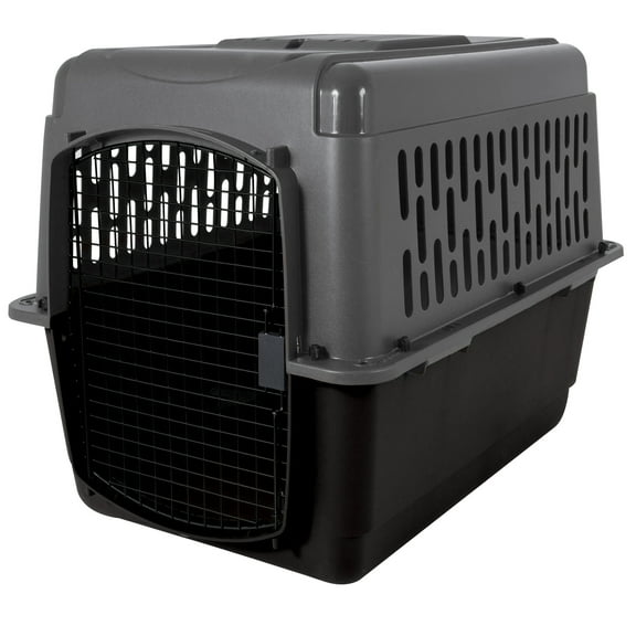 Petmate Pet Porter Traditional Travel Dog Kennel Portable Plastic Carrier, Medium to Large 36" for Dogs 50-70 lb, Gray