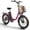 Rose Red1, variant on Folding Electric Bikes for Adults 1000W Peak 70 Miles Max Range 20mph Top Speed Step Thru E Bike Fat Tire Foldable E-Mountain Bike with Front Basket, 7 Speed, 36V 13.5AH Battery, UL2849 Compliant