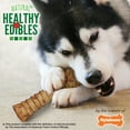 thumbnail image 5 of Nylabone Healthy Edibles All-Natural Long Lasting Chew Treats Turkey & Apple X-Large (1 Count), 5 of 12