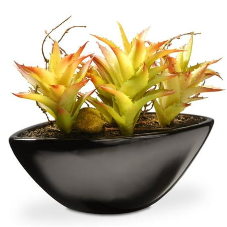 National Tree RAS-XF119W 9.8 in. Succulent in Ceramic (Best Pots And Pans 2019)