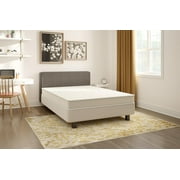 Signature Sleep Gold Select 6 Inch Coil Mattress & Foundation: Twin
