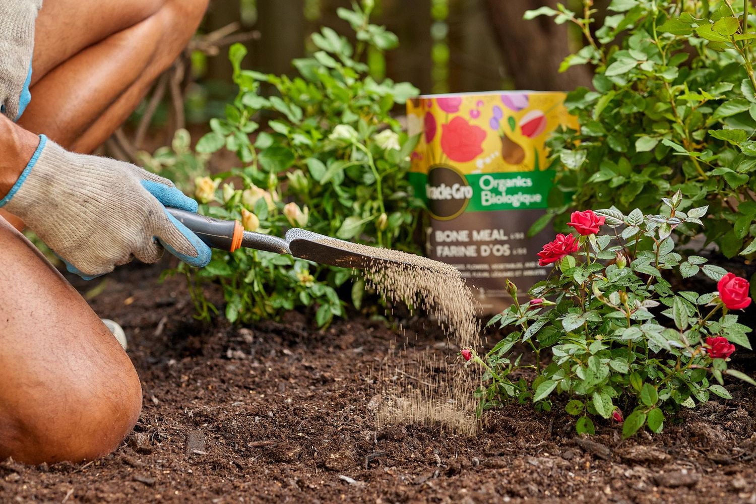 Miracle-Gro Organics Bone Meal 4-10-0 1.36kg, Bone Meal 4-10-0 1.36kg