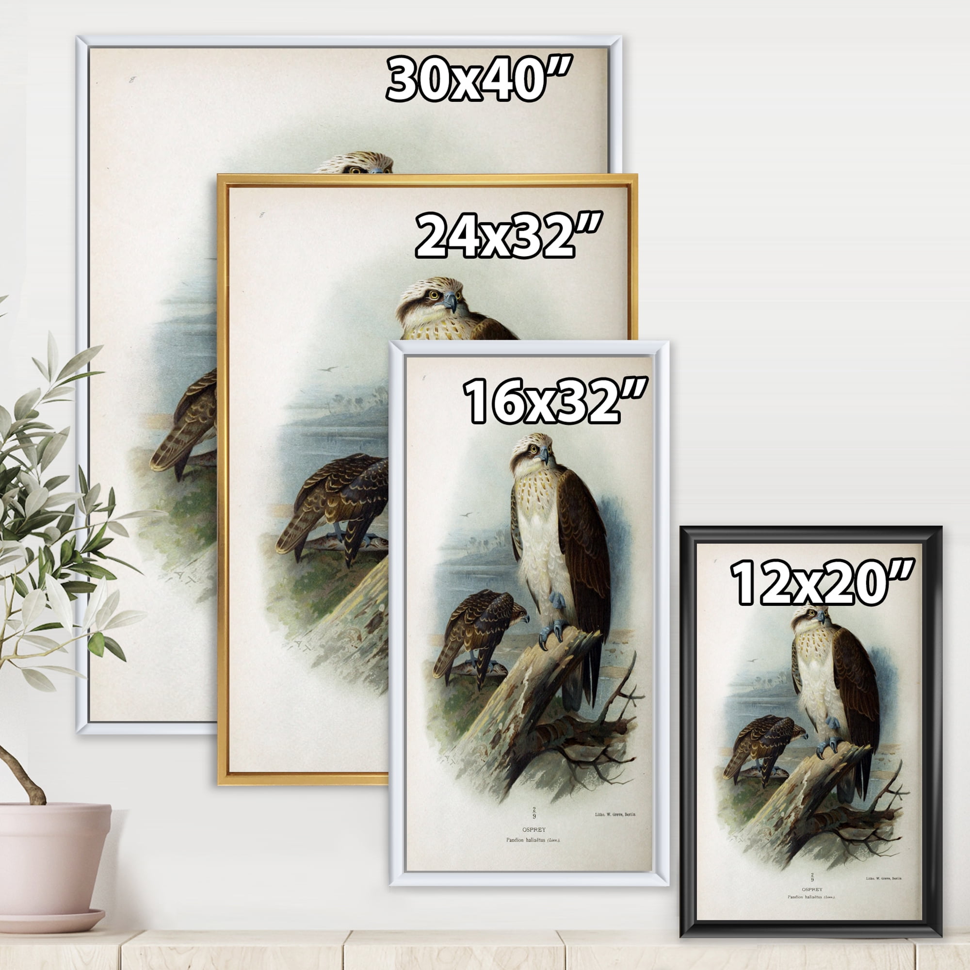 Designart 'Ancient Bird Life VI' Traditional Framed Canvas Wall Art Print