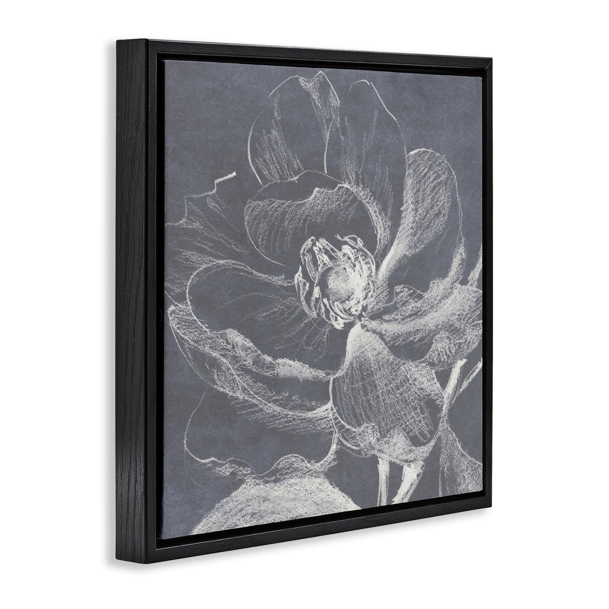 Stupell Industries Magnolia Sketch Impression Plants & Flowers Drawing Black Floater Framed Canvas Art Print Wall Art, 25 x 25