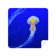 thumbnail image 1 of Ocean Jellyfish Science Nature Picture Glasses Cloth Screen Cleaner Suede Fabric 2 Pack, 1 of 2