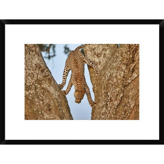 Global Gallery Alessandro Catta 'Upside Down' Framed Wall Art
