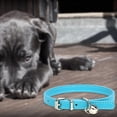 thumbnail image 3 of Minimalist Candy Color Pet Collar Adjustable Leather Neckband for Cats and Dogs with Secure Buckle Design, 3 of 5