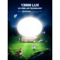 thumbnail image 2 of Bright Solar Lamp 13,000 Lux FASCARE UV-Free LED Solar Lamp with 5 Brightness Levels/3 Color Temperatures/4 Timers Remote Controlled Daylight Lamp with Memory Function for Home Office, 2 of 5