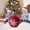 D, variant on Racsoh 60CM Outdoor Christmas Inflatable Decorated Ball Christmas Inflatable Ball Christmas Tree Decorations for Xmas Tree Decor Holiday Party Wedding Decoration