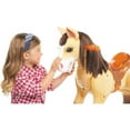 thumbnail image 4 of Little Tikes Giddyup N' Go Pony, 4 of 4