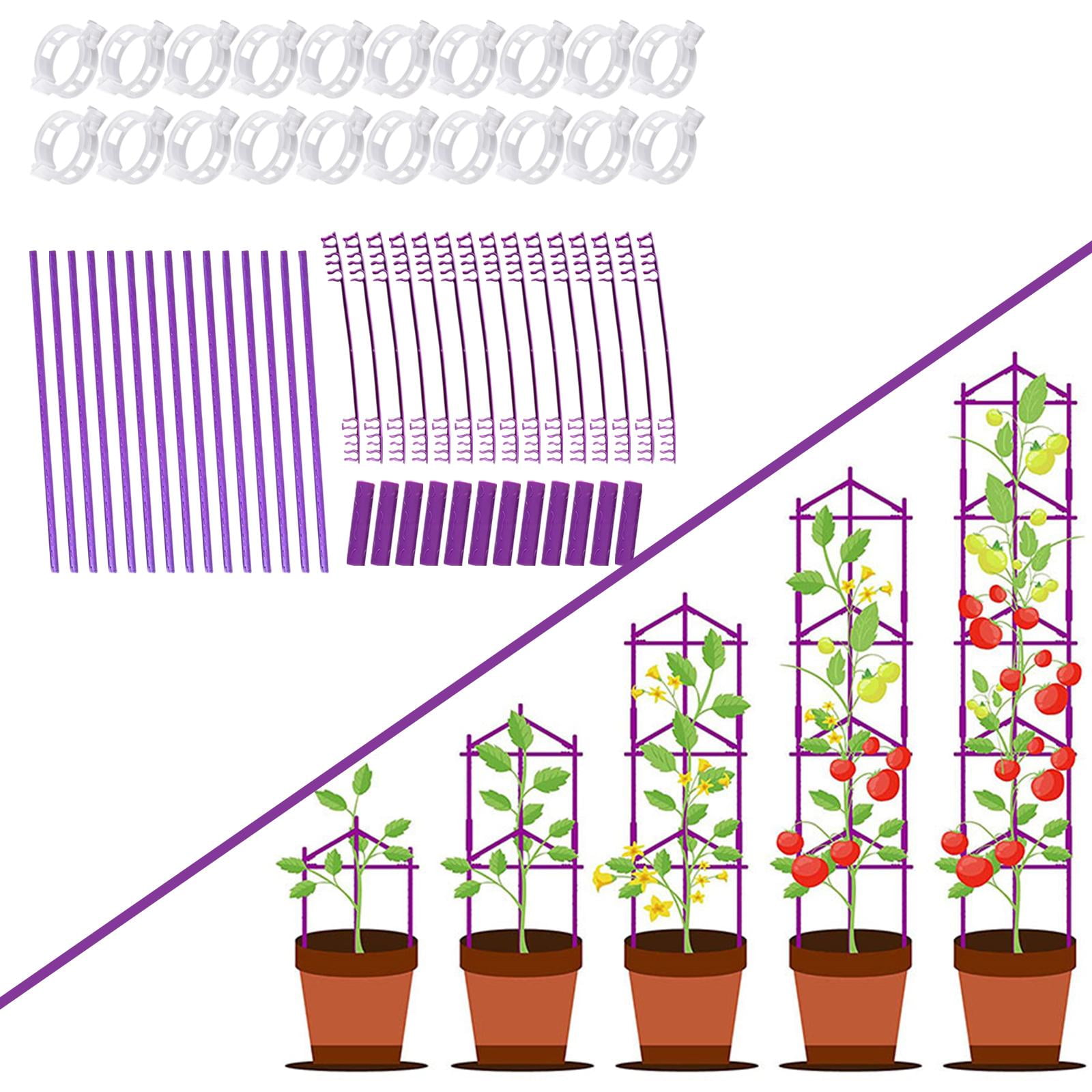 Nishiyuenyi Adjustable Climbing Plant Support Plant Trellis for Outdoor Vegetable Tomato