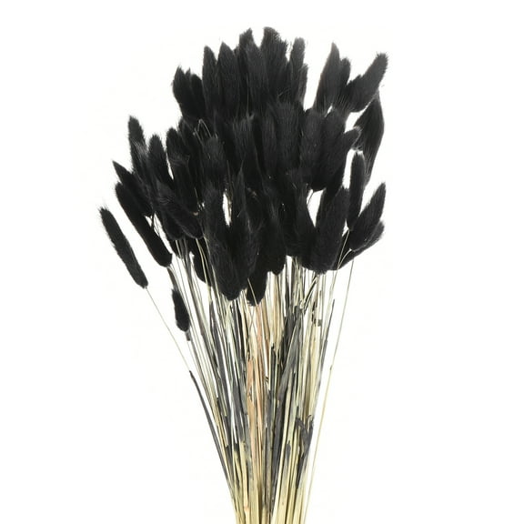 Uxcell 120pcs Natural Rabbit Bunny Tails Dried Flowers 17" Mini Pampas Grass Lagurus Ovatus Bunch for Floral Wedding Decor, Black