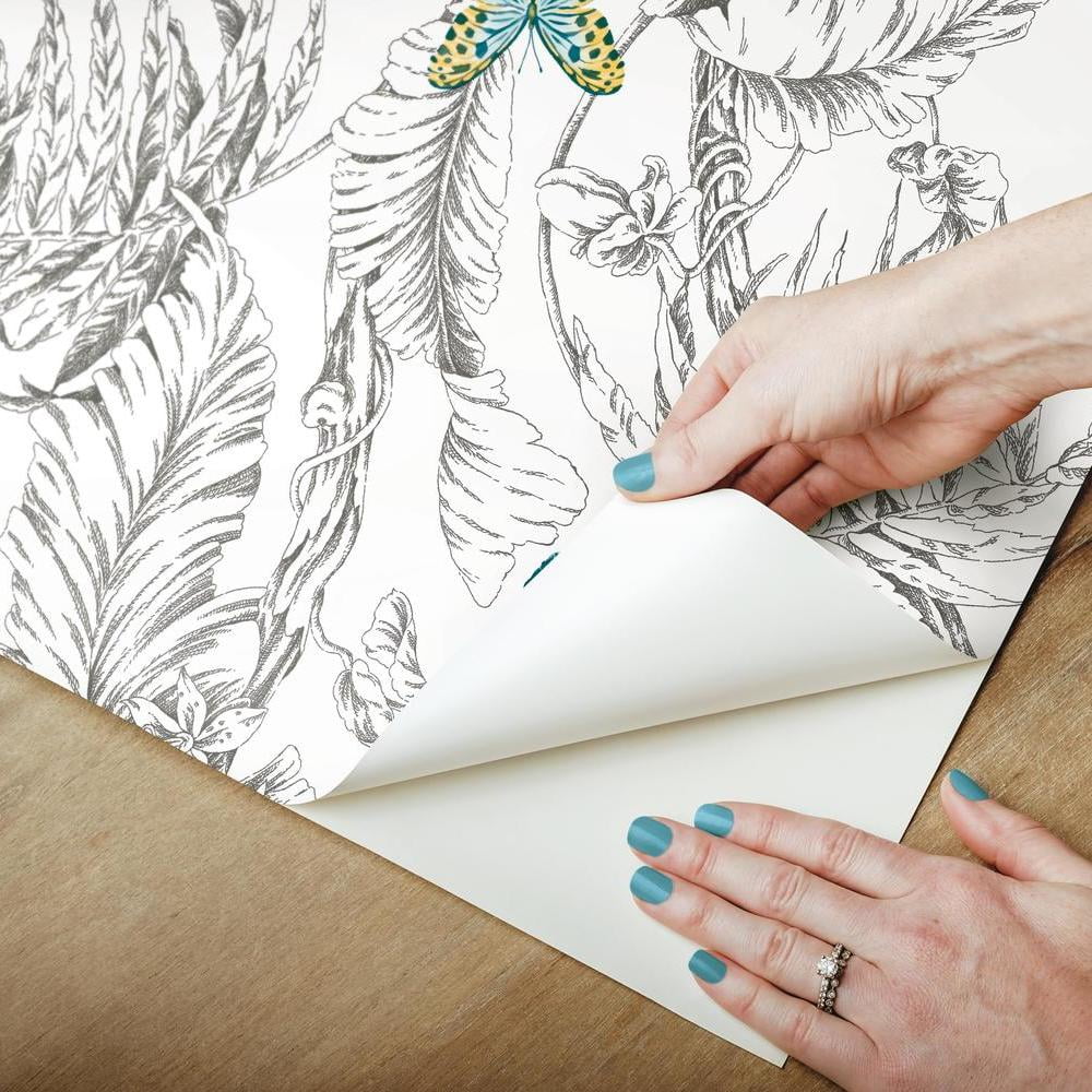 Butterfly Sketch Peel and Stick Wallpaper