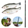thumbnail image 3 of Alimentador Carpa Caña Pescar Equipo Pesca Telescópico Ultraligero Portátil Dulce, 3 of 9