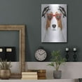 thumbnail image 7 of Luxe Metal Art 'Australian Shepherd Wearing Hipster Glasses' by Olga and Alexey Drozdov, Metal Wall Art, 12"x16", 7 of 7