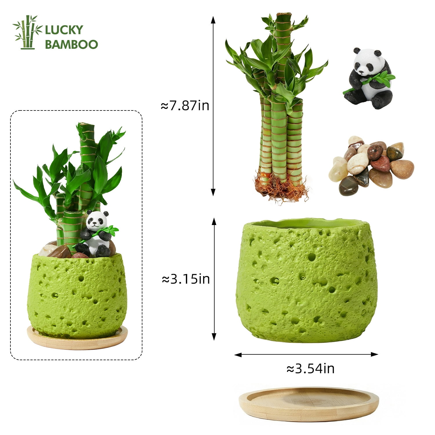 Lucky Bamboo Decor 2-Pack – Feng Shui Indoor Desk Plant Arrangement with Ceramic Pot, Good Luck & Wealth Home Office Accent