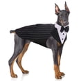 thumbnail image 1 of Conjunto de esmoquin para perro PUMYPOREITY, pajarita a rayas, formal, L, 1 of 7