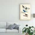 thumbnail image 3 of John James Audubon 'Indigo Bunting Birds' Canvas Art, 3 of 4