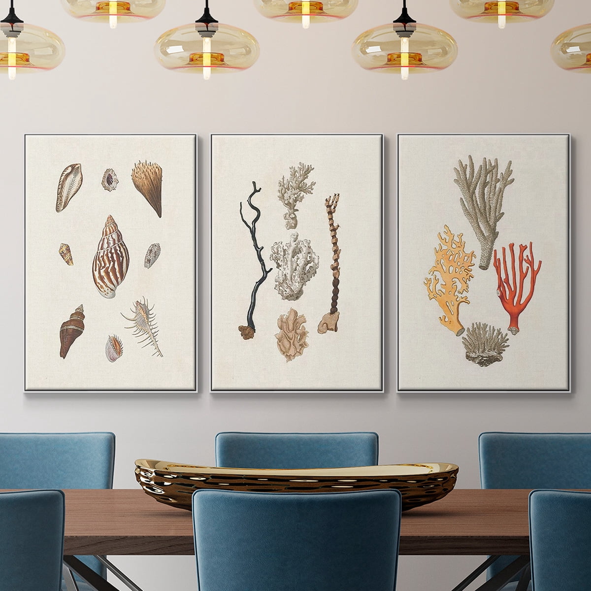 Knorr Shells & Coral IV - Framed Premium Gallery Wrapped Canvas L Frame 3 Piece Set - Ready to Hang
