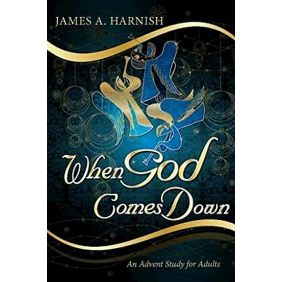 Pre-Owned When God Comes Down: An Advent Study for Adults (Paperback) 1426751087 9781426751080