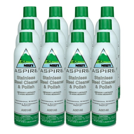 Misty Aspire Stainless Steel Cleaner and Polish - 16 oz (Case of 12) - 1038047- Water-Based Formula, NonFlammable, Great for Brightening an Protecting Stainless Steel and Many Other Metals