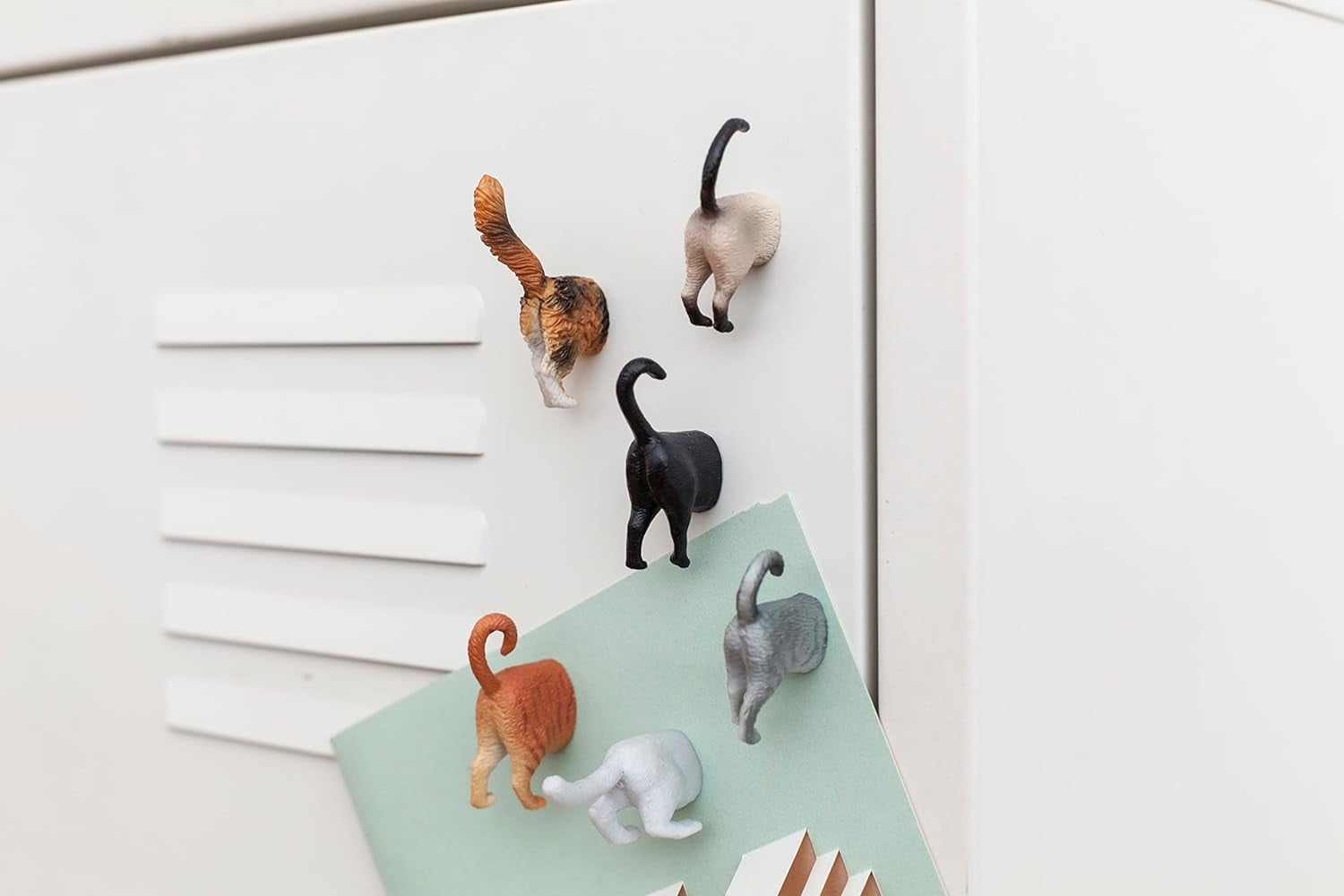 Kikkerland Cat Butt Magnet