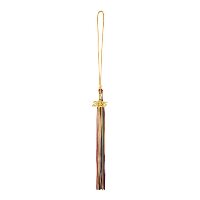 Primegos Graduation Hat Tassel with 2025 Year Charm Multi Colors Available Color-Blocking Style 40cm Length Cap Hornor Tassel for School Graduation Season