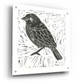 thumbnail image 2 of Epic Art 'Bird Element I' by Courtney Prahl, Acrylic Glass Wall Art, 24"x24", 2 of 8