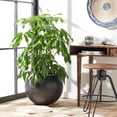 thumbnail image 2 of Safavieh Kenslia 24" x 24" x 20" Round Black Concrete Ficonstone Contemporary Plant Planter with Weather-Resistant, 2 of 6