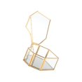 thumbnail image 2 of thinsony Nordic Style Glass Storage Box Gold Display Organizer Decorative Box Tray Jewelry Cosmetics Display Box, 2 of 9