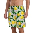 thumbnail image 2 of Goofa Lemon Seamless Pattern Oil Painting Effect Printed Mens Swim Trunks Summer Quick Dry Short Beach Swimwear Bathing Suits-3X-Large, 2 of 9