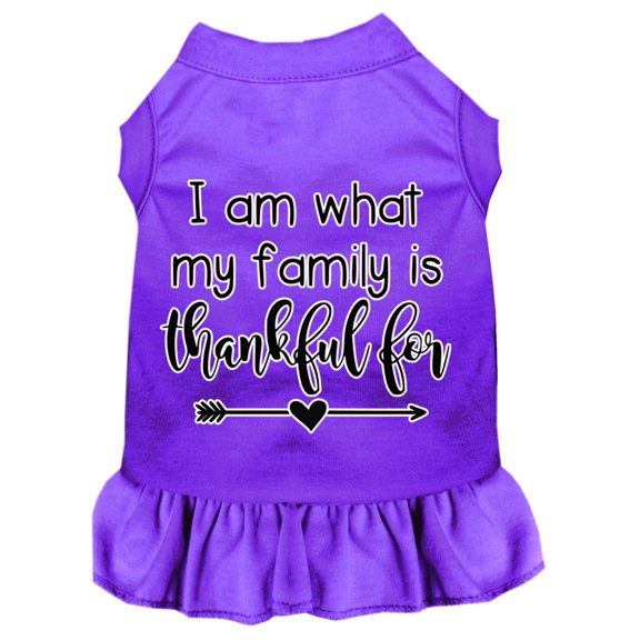 Pet Dog  Cat Dress Screen Printed, "I Am What My Family Is Thankful For"