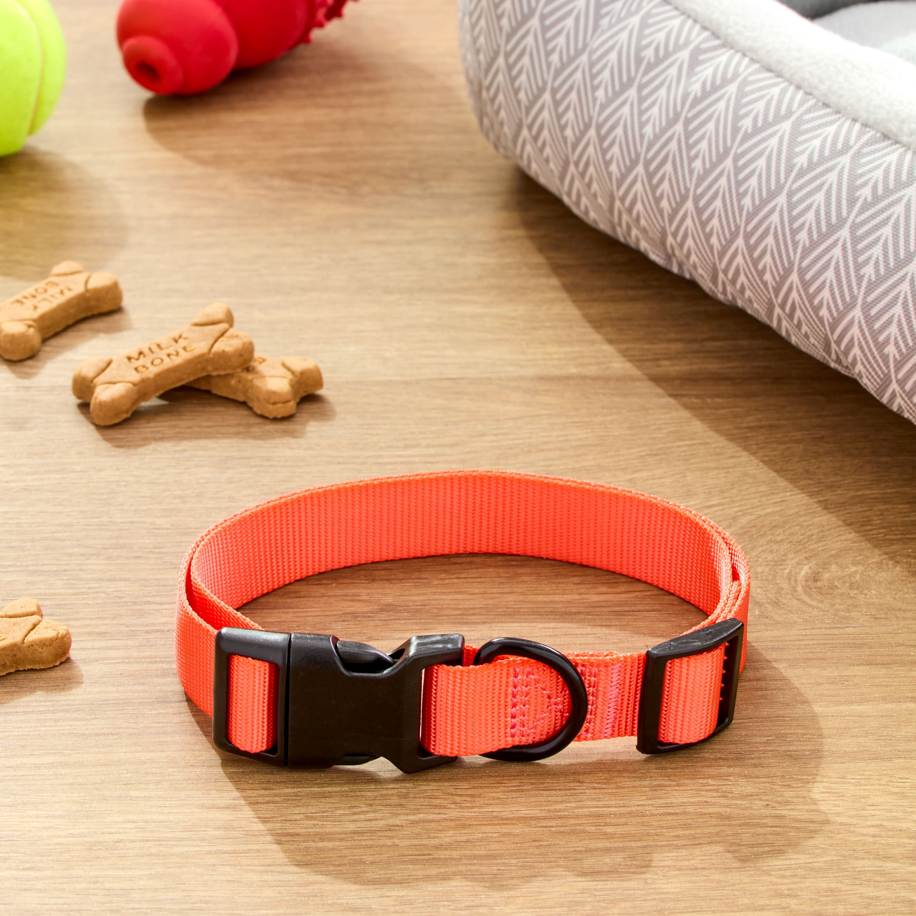 Vibrant Life Polyester Adjustable Dog Collar, Coral, L