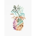 thumbnail image 3 of Swartz, Megan 19x24 Black Modern Framed Museum Art Print Titled - Cool and Tropical 1, 3 of 5