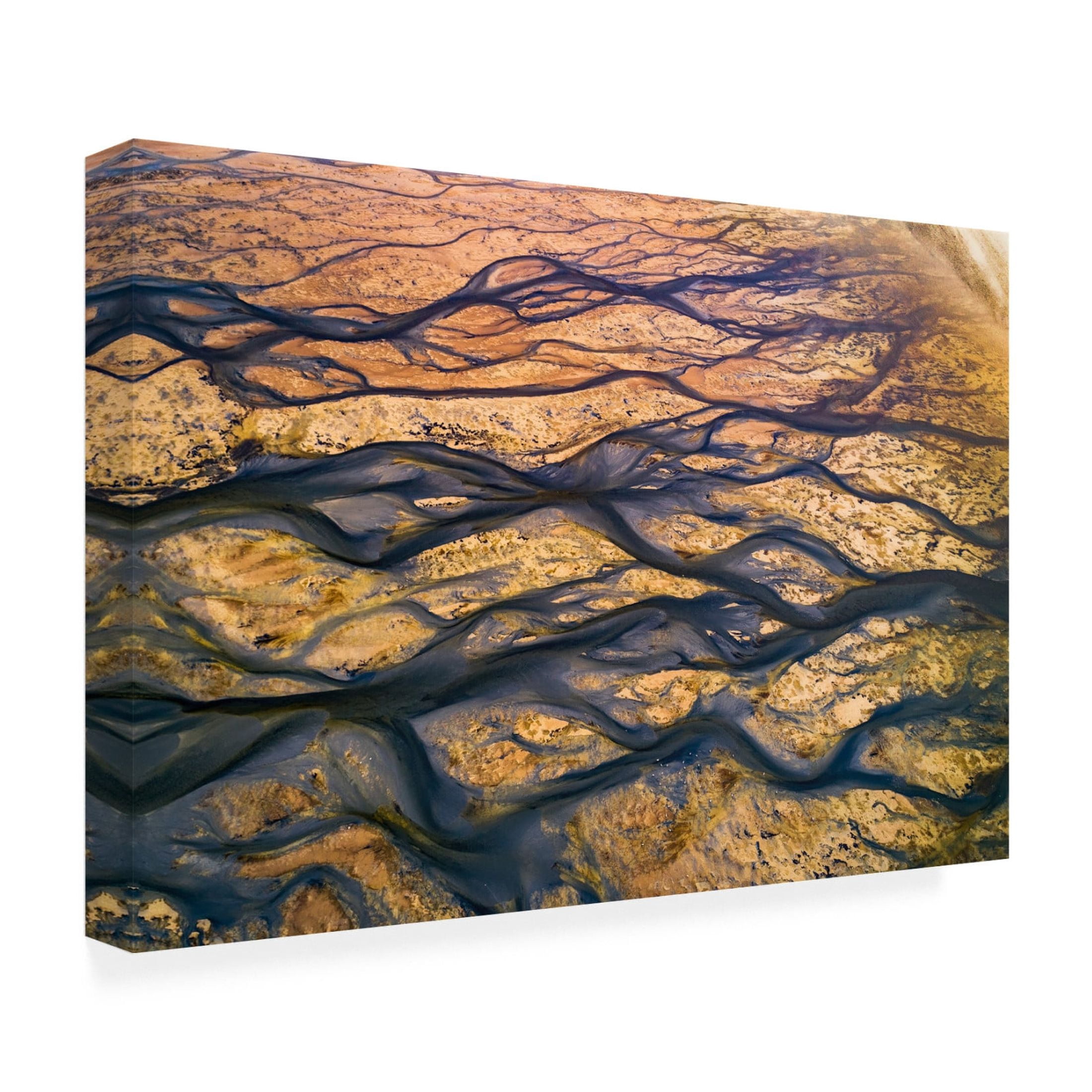 Canvas Wall Art - Faisal ALnomas 'The Black Rivers' Wall Art for Living Room, Bedroom, or Office Décor by Trademark Fine Art - 24 x 16 Inches