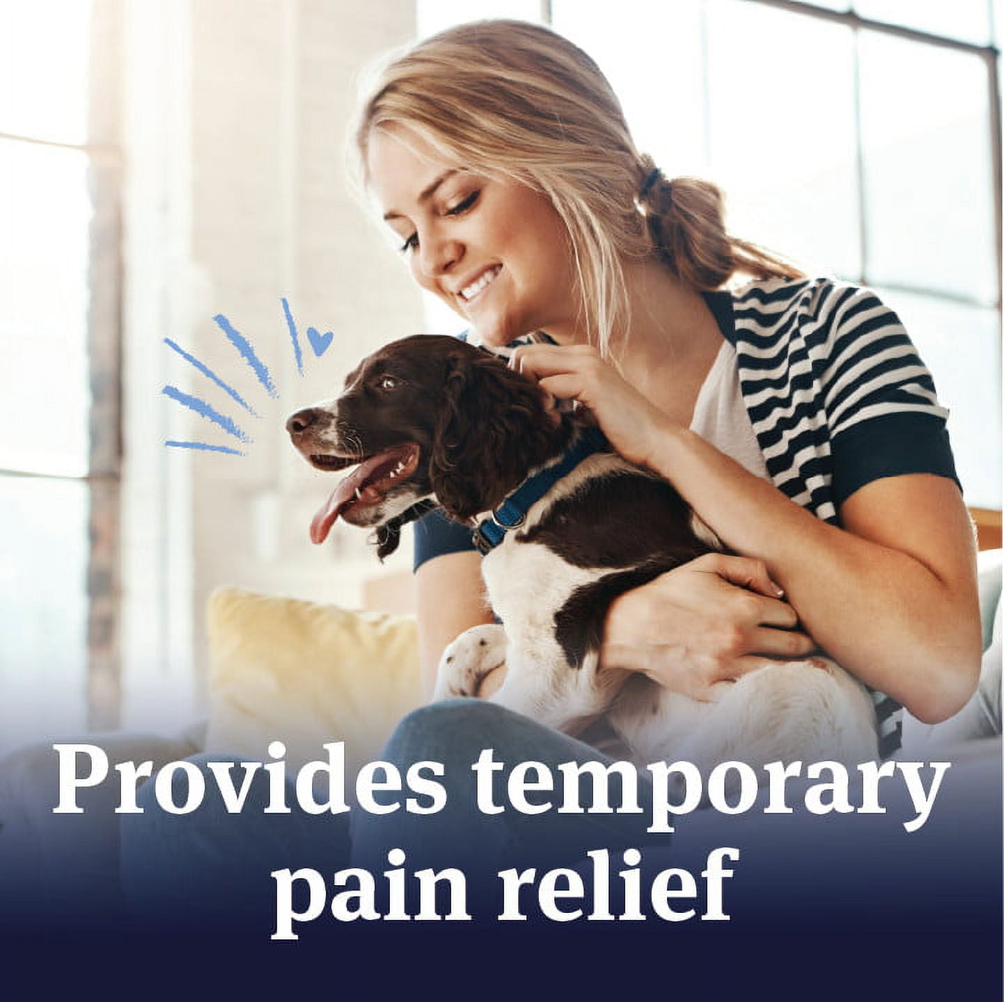 PetArmor Aspirin Chewable Tablets for Dogs, SM 75ct