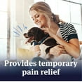 thumbnail image 3 of PetArmor Aspirin Chewable Tablets for Dogs, SM 75ct, 3 of 8
