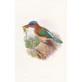 thumbnail image 2 of John Gould 17x24 Black Ornate Framed Double Matted Museum Art Print Titled: Hombron's Kingfisher (1850-1883), 2 of 5