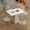 White A table + 4 chairs, variant on Wohh Retractable Rock Slab Folding Dining Table, Modern Square Expandable Table with Leather-Wrapped Stainless Steel Base, Dual-Purpose Space Saving Kitchen Table for Small Apartments
