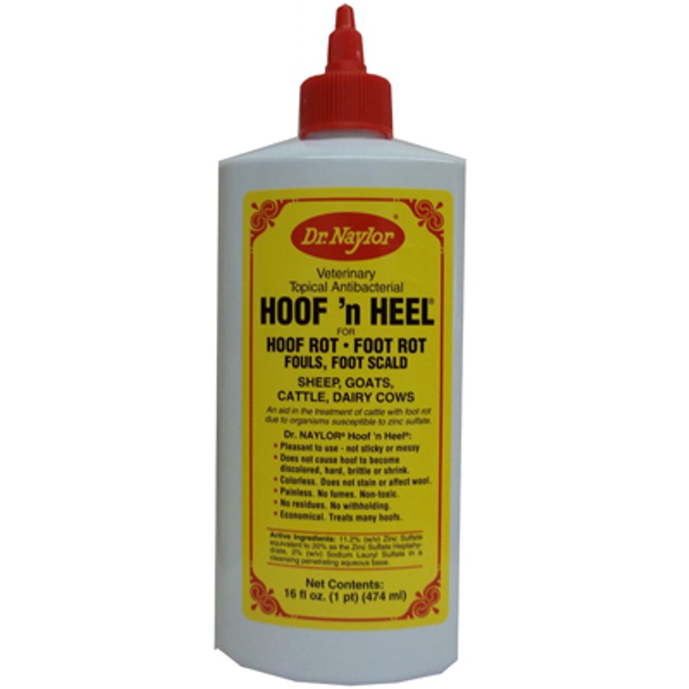 Hoof N' Heel Livestock Ointment, 16oz.