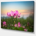 thumbnail image 3 of Design Art - Blooming Lotus Flowers at Sunset, 3 of 4