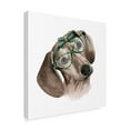thumbnail image 2 of Trademark Fine Art 'Vintage Pup III' Canvas Art by Grace Popp, 2 of 4