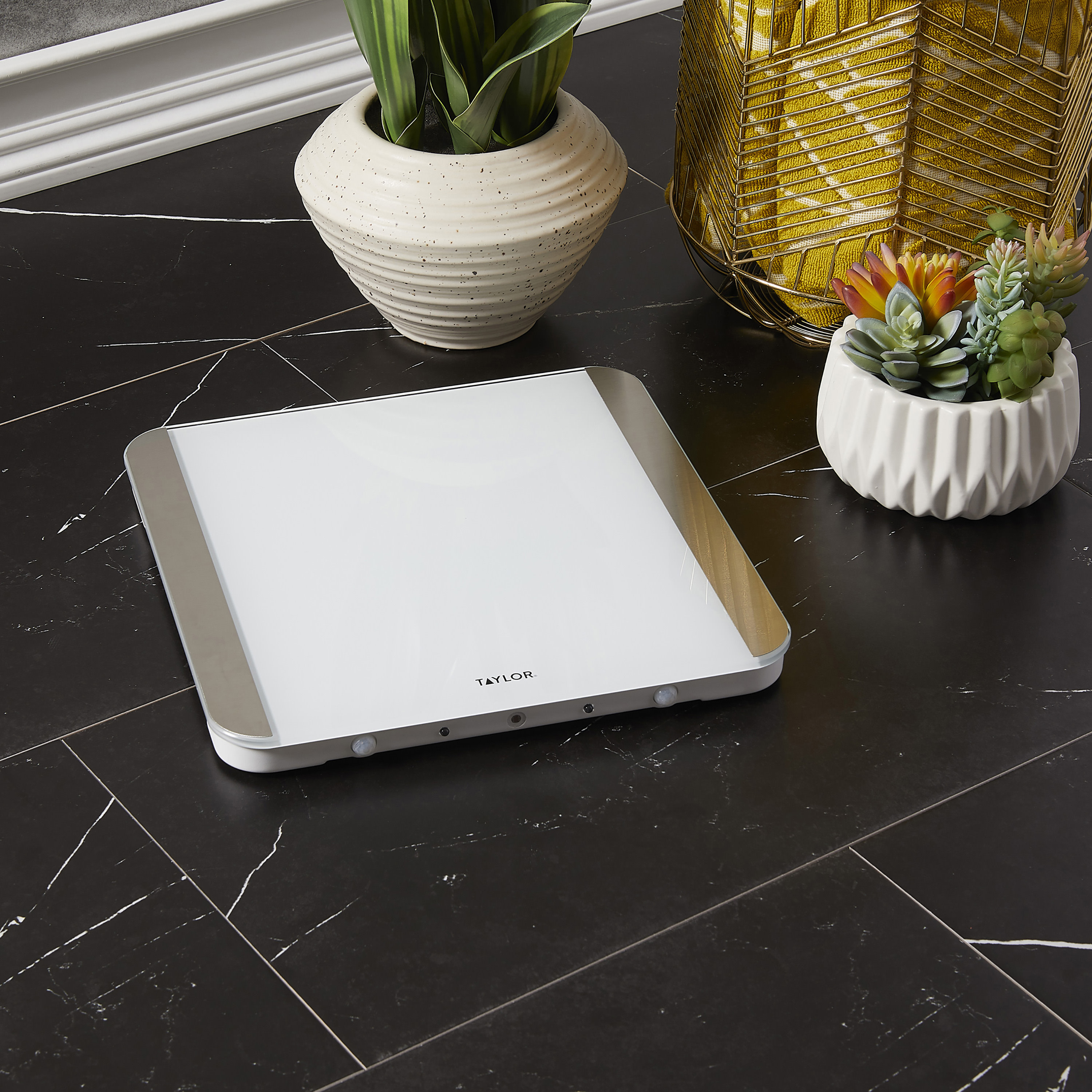 Taylor Digital Glass Scale with Motion and Light Sensors Gray 5283426