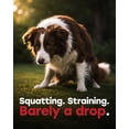 thumbnail image 4 of Pup Choice Dog UTI Chews, Cranberry Supplement for Dogs, Urinary Tract Support with D-Mannose & Probiotics, 140 Chews, 4 of 8